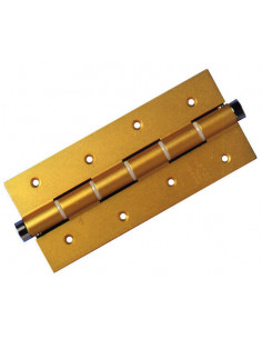 PAR BISAGRA MUELLE N 58 ORO 2