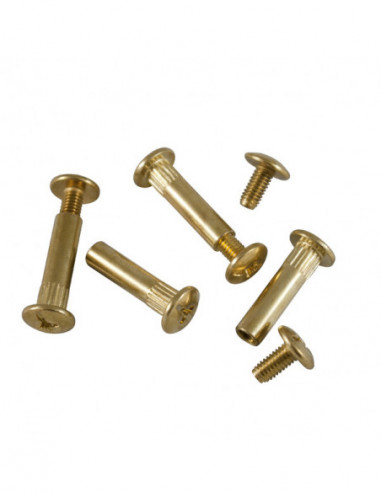 TORNILLO + TUBO LATONADO BL 4