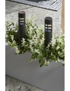 BALIZA SOLAR MONTELIMAR 5LM...