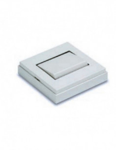 INTERRUPTOR SUPERFICIE 2