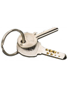 LLAVERO ANILLA C/200 NIQUEL 2