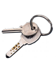 LLAVERO ANILLA C/200 NIQUEL 2