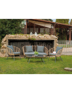 CONJUNTO ACE/RAT SINT NIGER