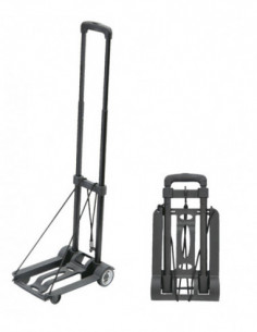 CARRO TRANSPORTE PLEGABLE ABS 2