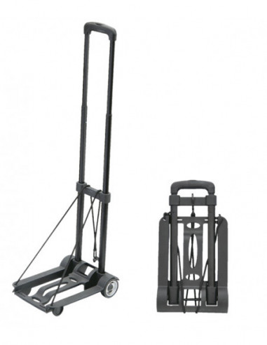 CARRO TRANSPORTE PLEGABLE ABS