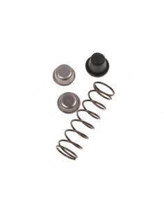 MUELLE+TOPES RECAMBIO 2