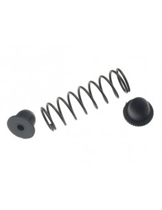 MUELLE+TOPE RECAMBIO P5 2